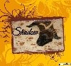  - Shadow de Stéphieci