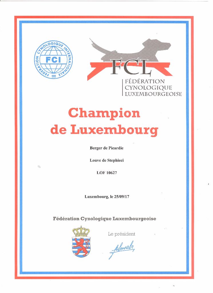 De stephieci - Championne du Luxembourg