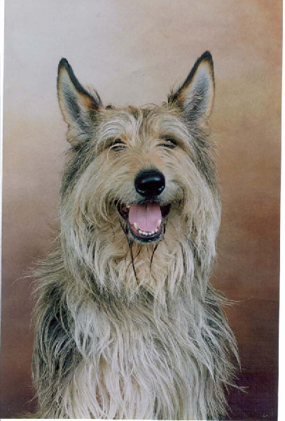 Melchior De stephieci