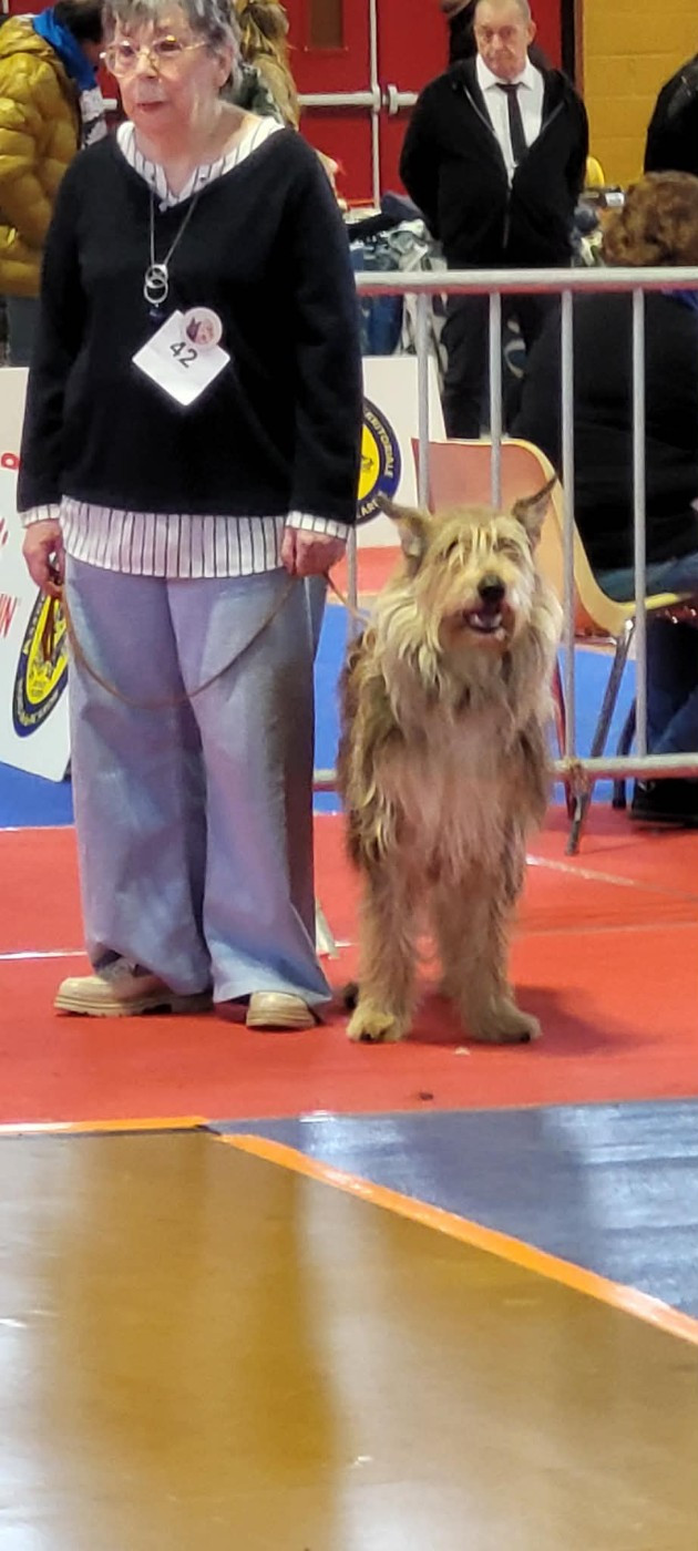Les expositions d'Amiens pour Ultima de Stéphieci