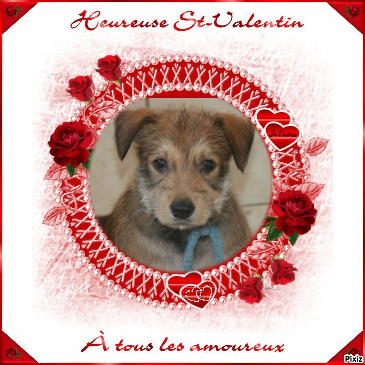 De stephieci - St Valentin
